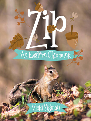 cover image of Zip